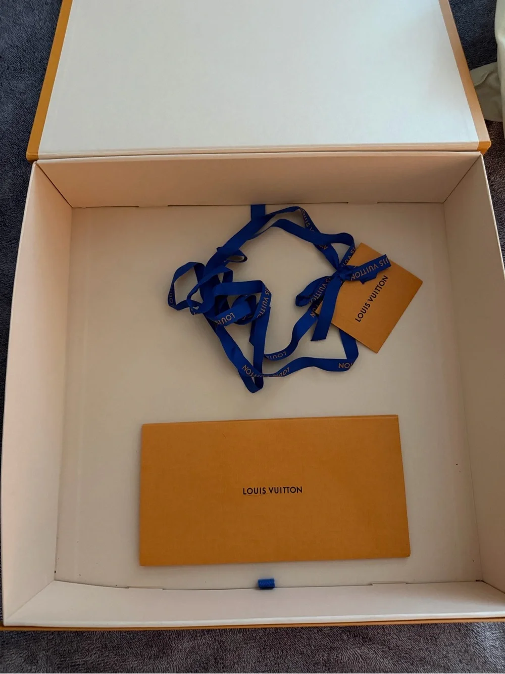 Louis Vuitton classic louis